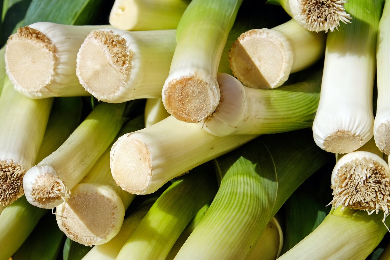 leek, vegetables, stalk