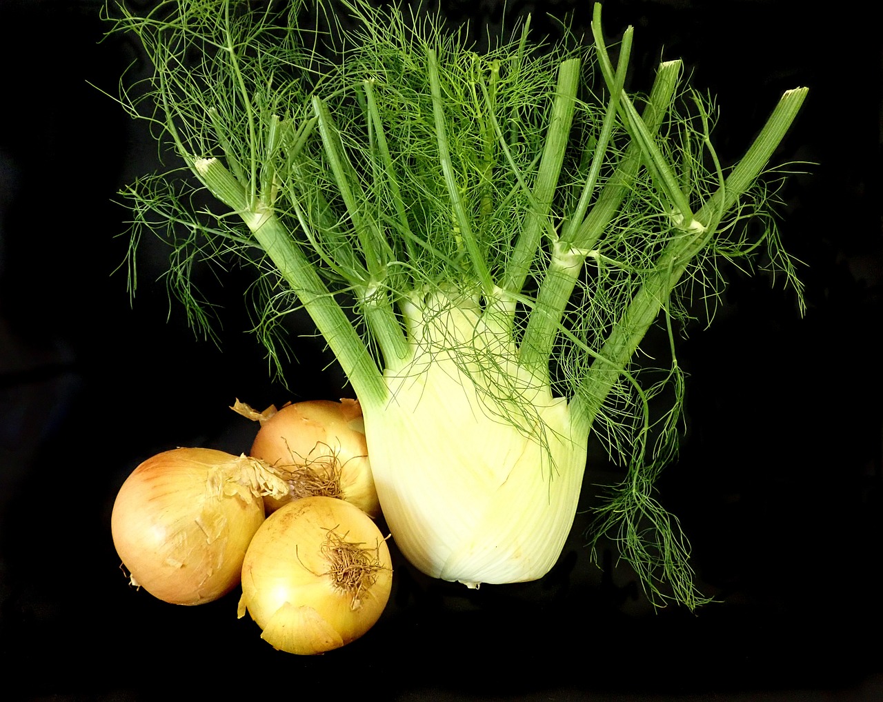 vegetables, fennel, onions